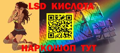шишки Обь