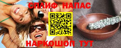 шишки Обь