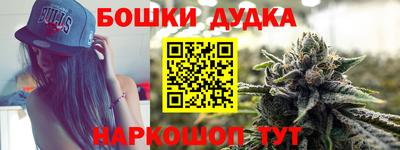 шишки Обь