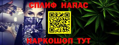 шишки Обь