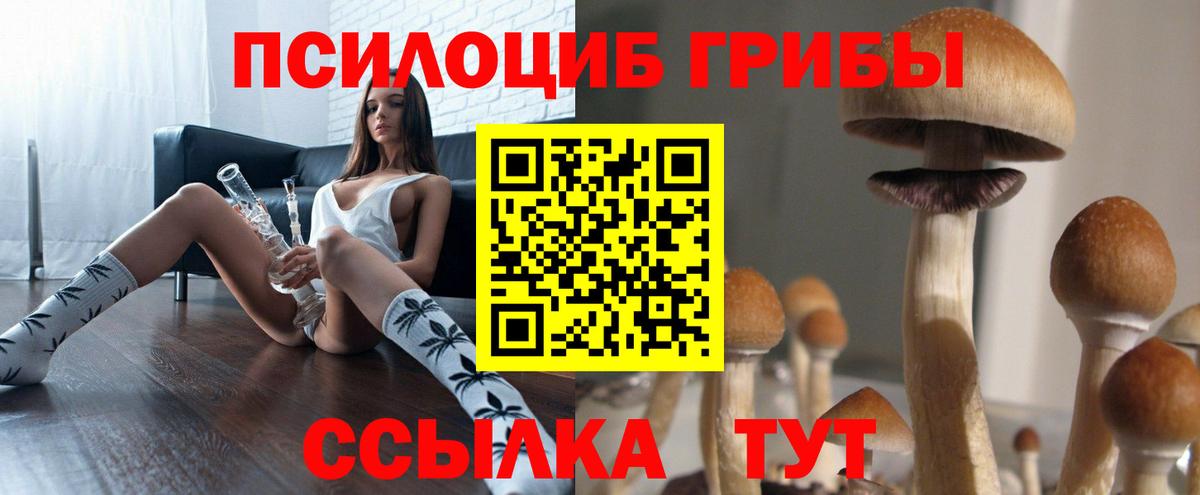 Псилоцибиновые грибы мухоморы  Вход с VPN  Сыктывкар 